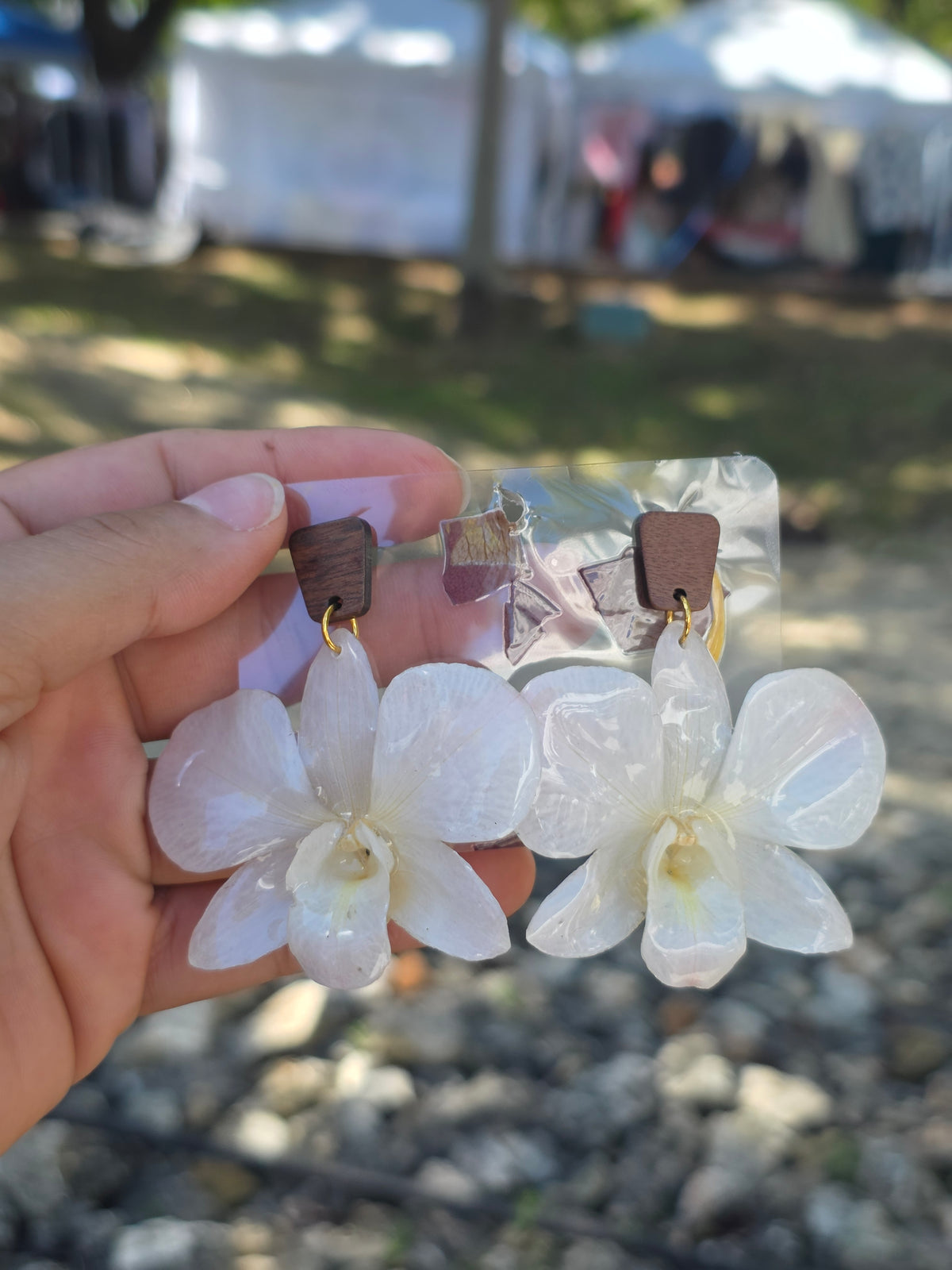 Pantallas Orquídea de Orquídea Blanca
