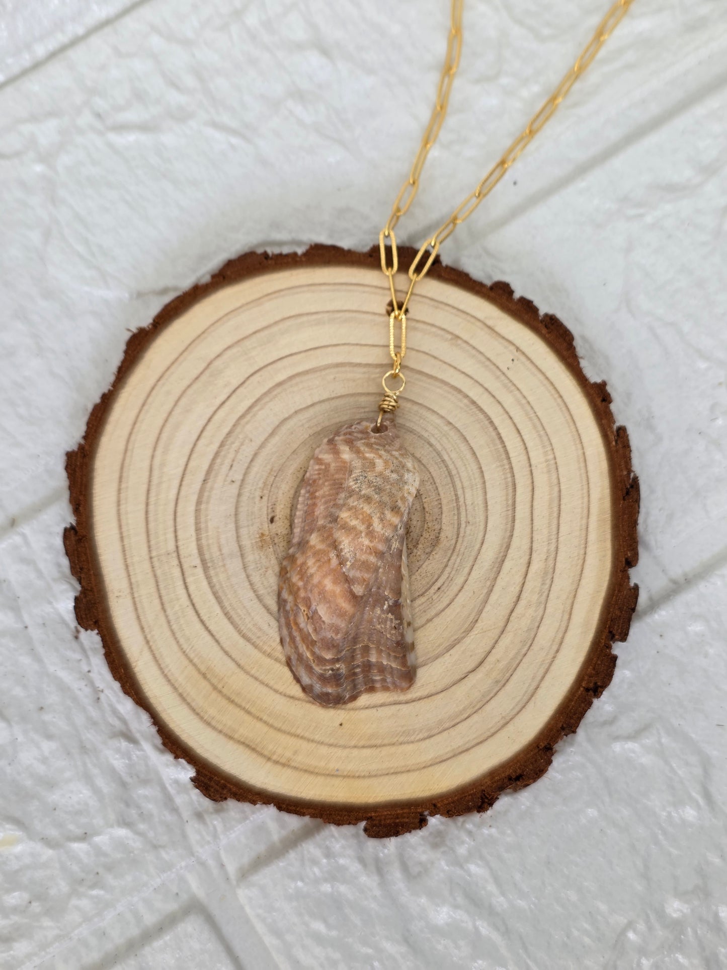 Concha Marina de mi Isla Necklace