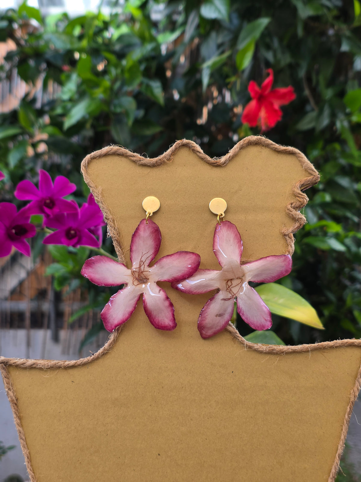Desert Rose Star Earrings