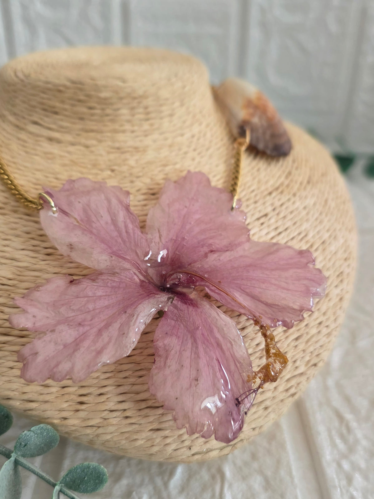 Amapola Caribeña