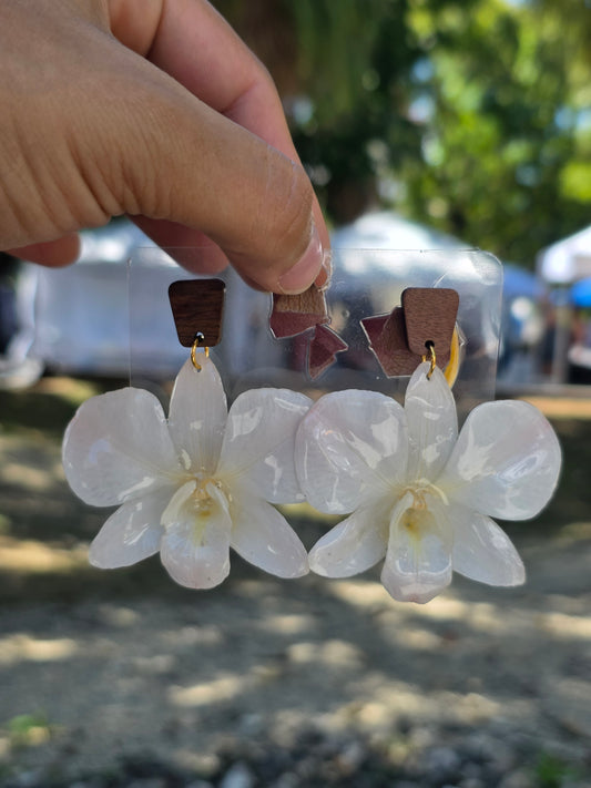 Pantallas OrquĂdea de OrquĂdea Blanca