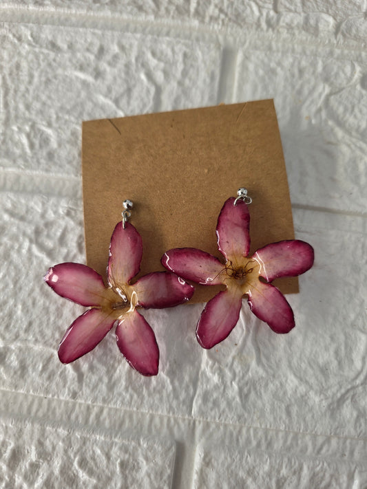 Desert Rose Star Earrings