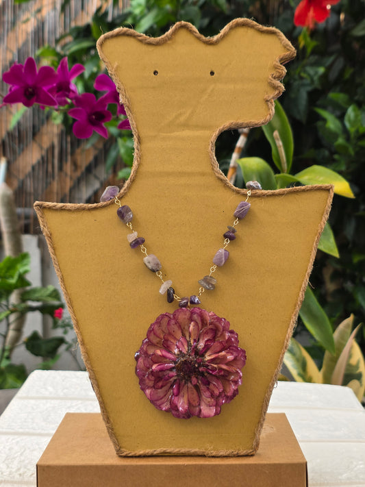 Zinnia Verry Purple