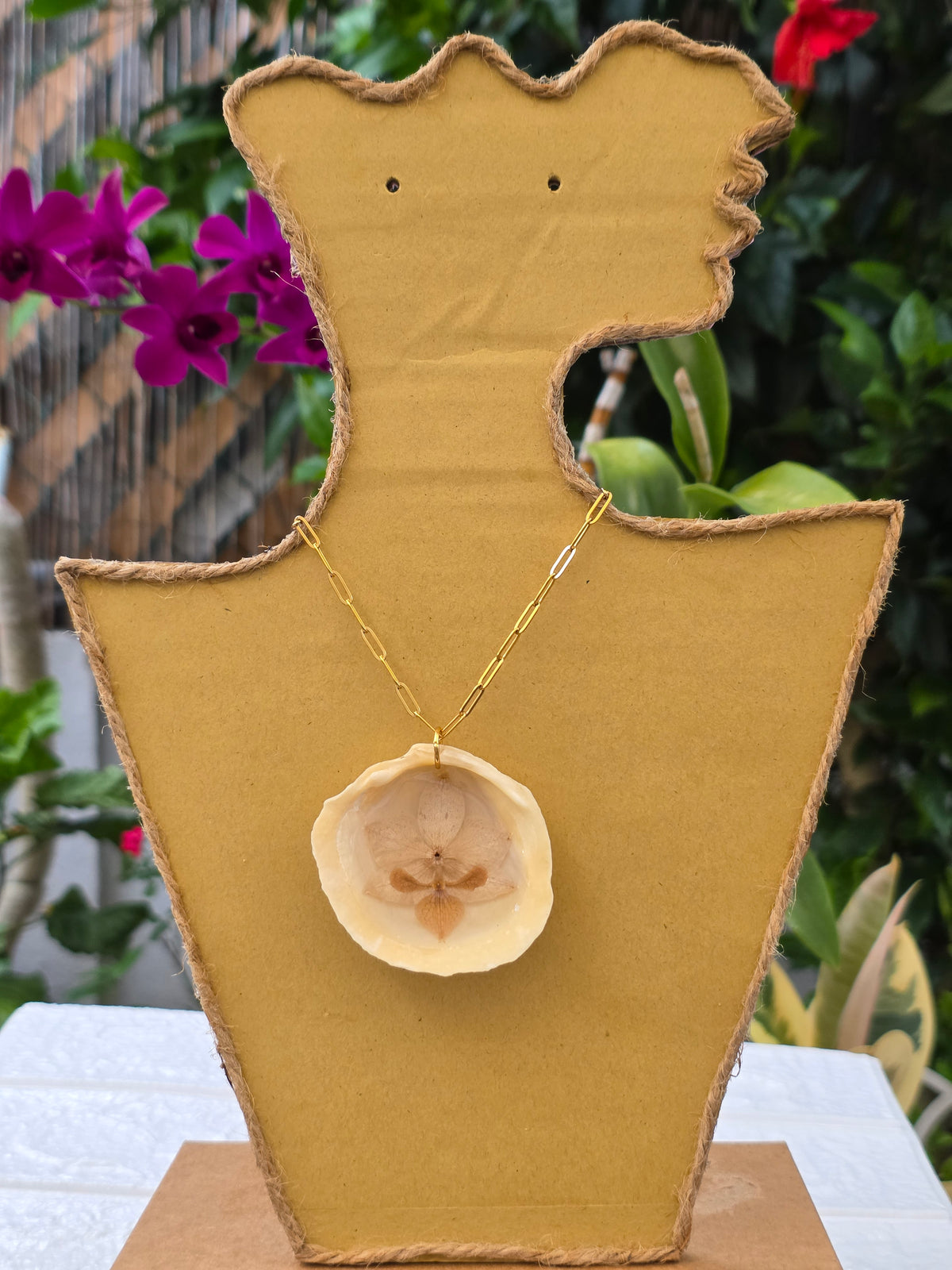 Orquídea mini blanca preservada en concha