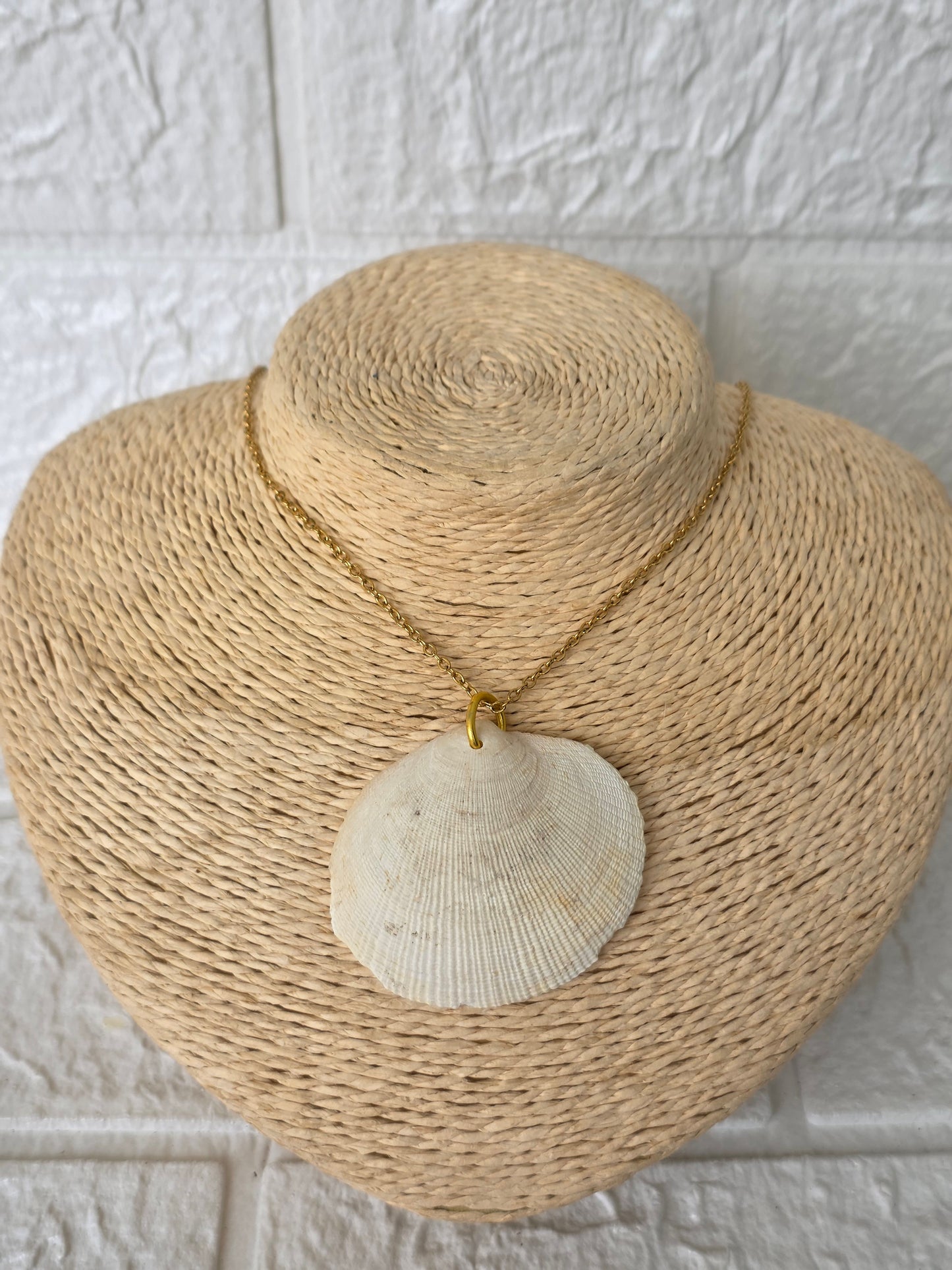 Concha Marina de mi Isla Necklace