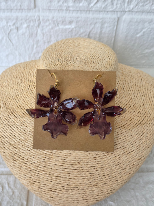 Oncidium Orchid 🤎 Golden Red Star Earrings Gold